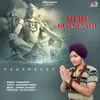 About Mere Kedarnath Song